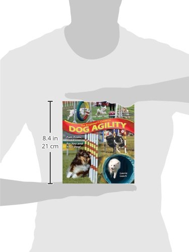 The Beginner's Guide to Dog Agility