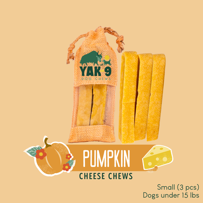 Pumpkin Cheese Chews for Dogs