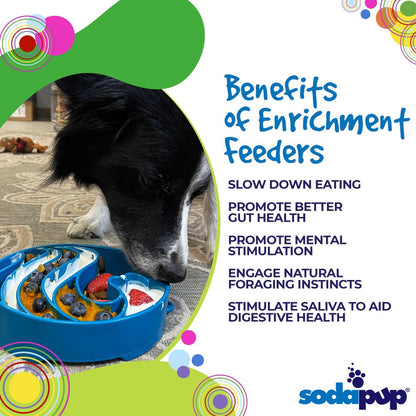Wave eBowl Deep Slow Feeder Dog Bowl for Enrichment | Made in USA