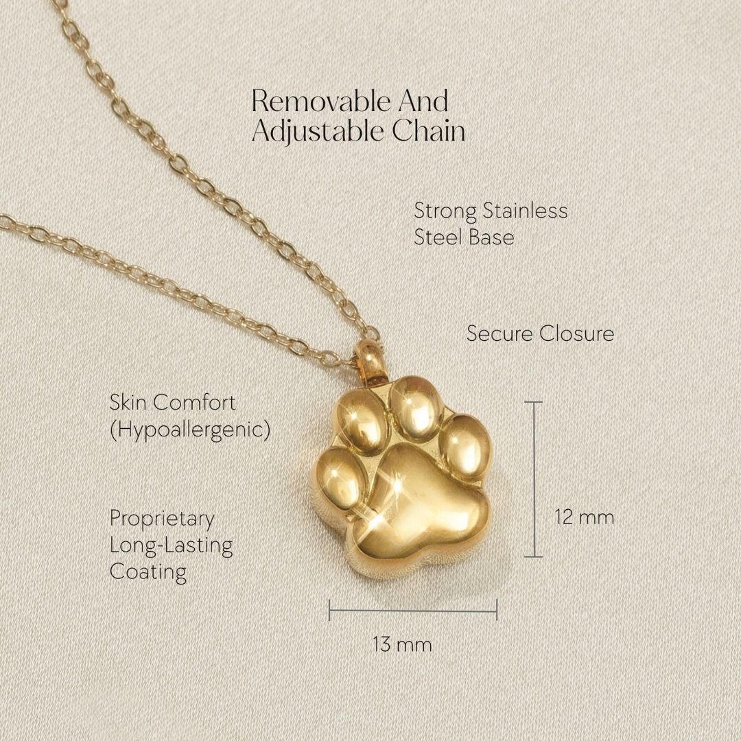 Paw Print - Cremation Necklace for Dog & Pet Ashes - Gold