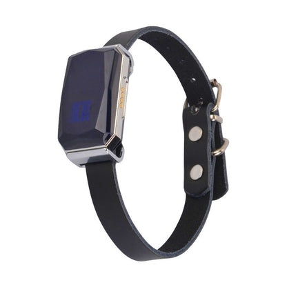 G12 Pet Navigator Locator Smart Wear GPS Cat Dog Anti-lost Tracking Tracking