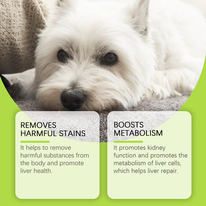 Dog Care Drops, A Comprehensive Healthy Dietary Supplement To Enhance Nutrition And Rejuvenate Dogs