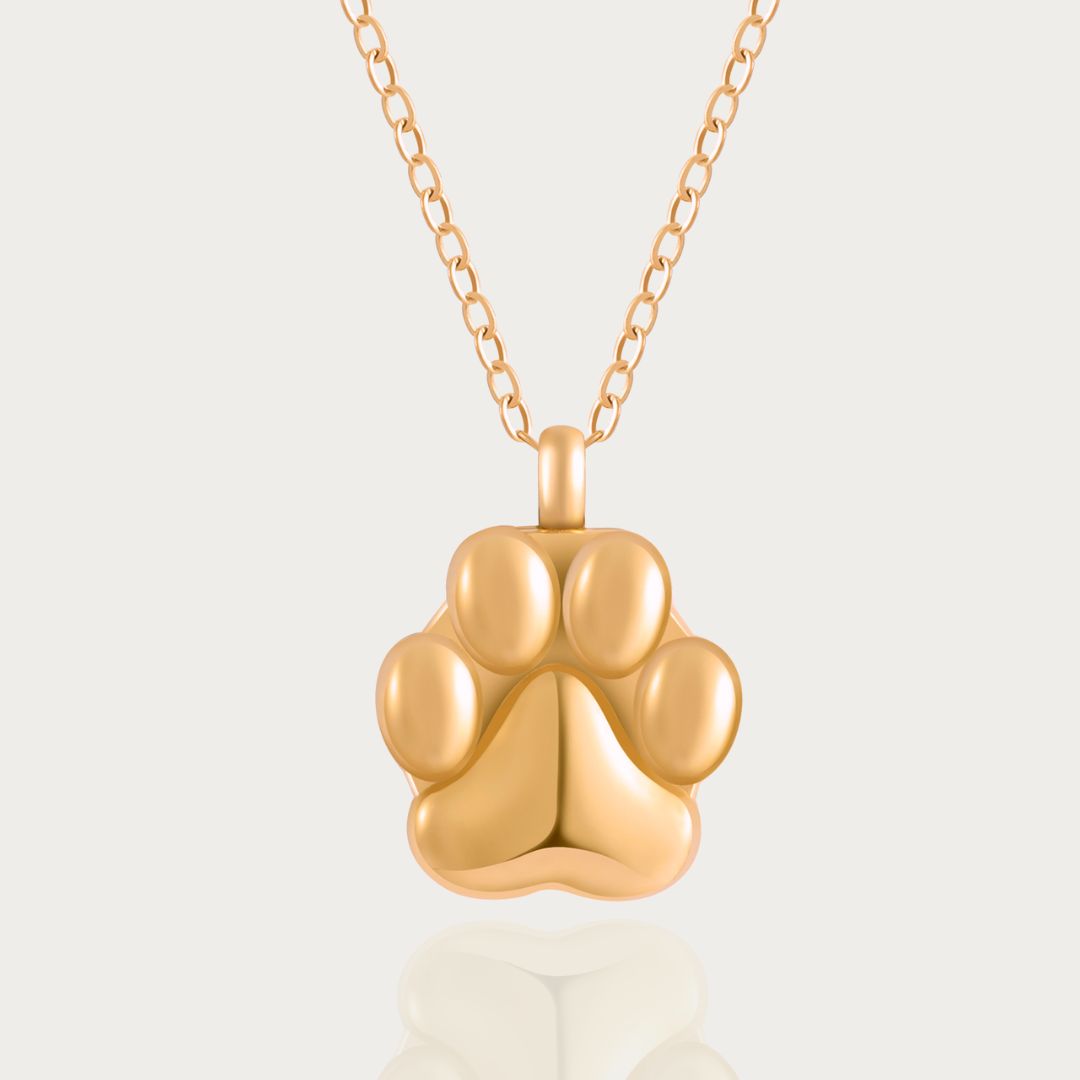 Paw Print - Cremation Necklace for Dog & Pet Ashes - Silver