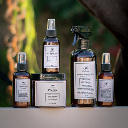 Waterless Shampoo Spray for Dogs & Horses