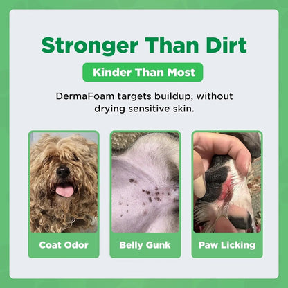 Dermafoam Chlorhexidine Dog Shampoo for Itch Allergies Hot Spots 16.9oz