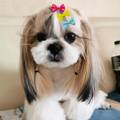 Dog Hair Bows Clips 40PCS Colorful Ribbon Accessories Small Dogs Grooming