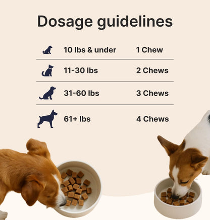 Dog Joint & Multivitamin Chews — Glucosamine, MSM + Daily Vitamins (90 Soft Chews)