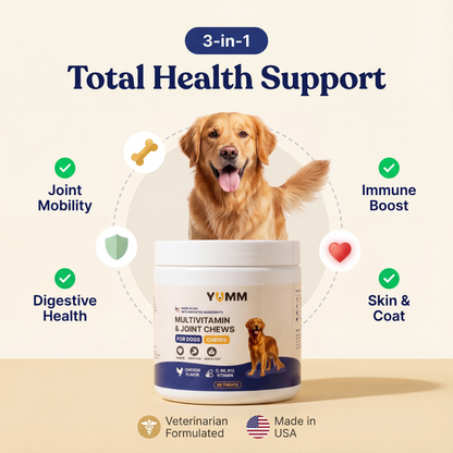 Dog Joint & Multivitamin Chews — Glucosamine, MSM + Daily Vitamins (90 Soft Chews)