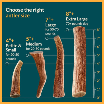 Split Elk Antlers for Dogs – Natural Long-Lasting Chew for Small & Medium Dogs