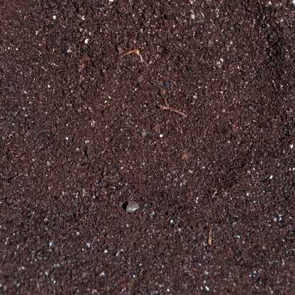 Freeze-Dried Beef Blood | Meal Topper