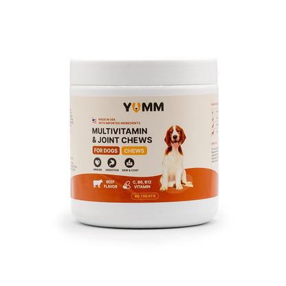 Dog Joint & Multivitamin Chews — Glucosamine, MSM + Daily Vitamins (90 Soft Chews)