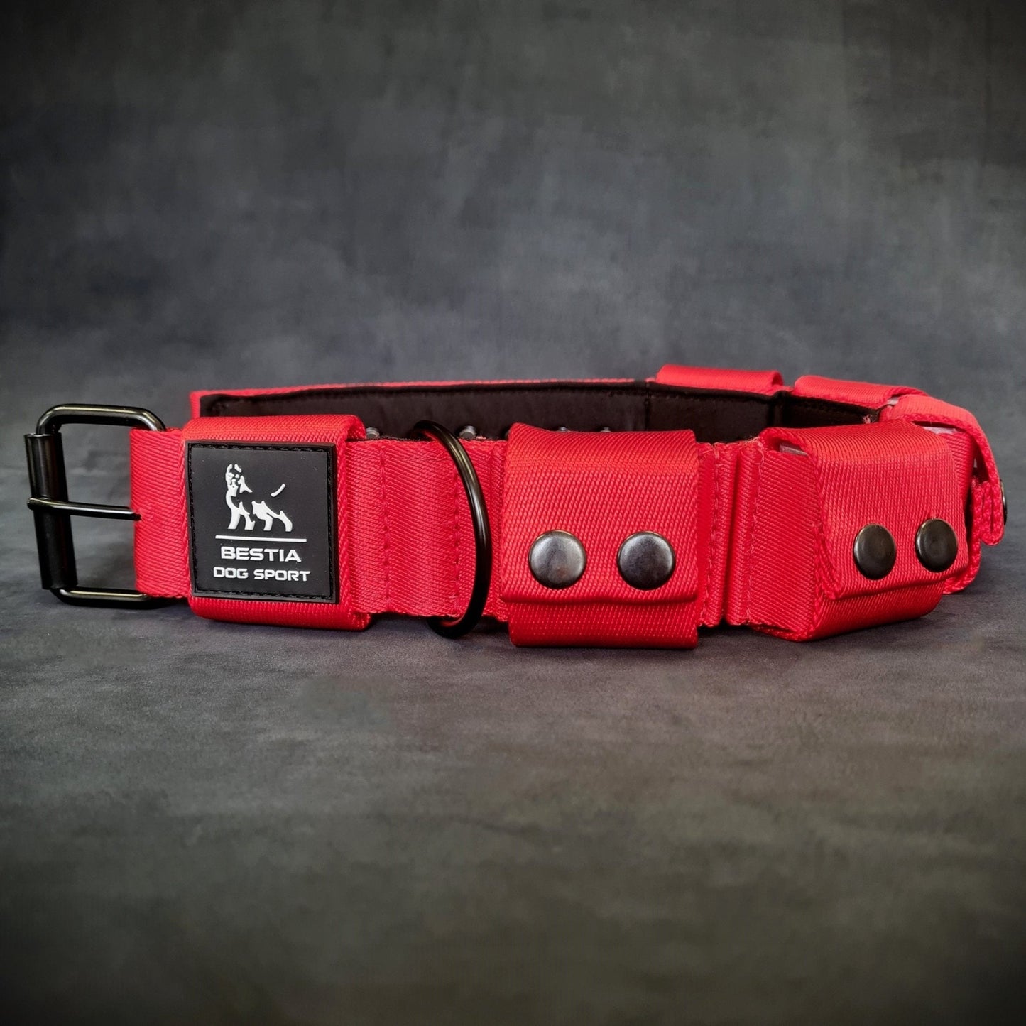 BESTIA DOG SPORT Weighted Dog Training Collar