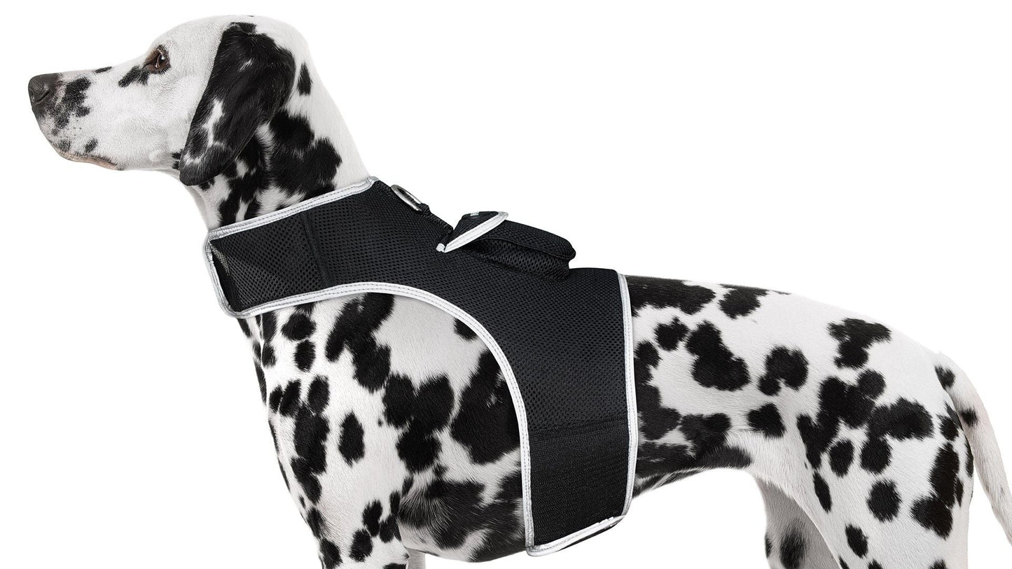 Waterproof GPS Tracker Dog Cat Rechargeable Locator with Battery Alert Size:L