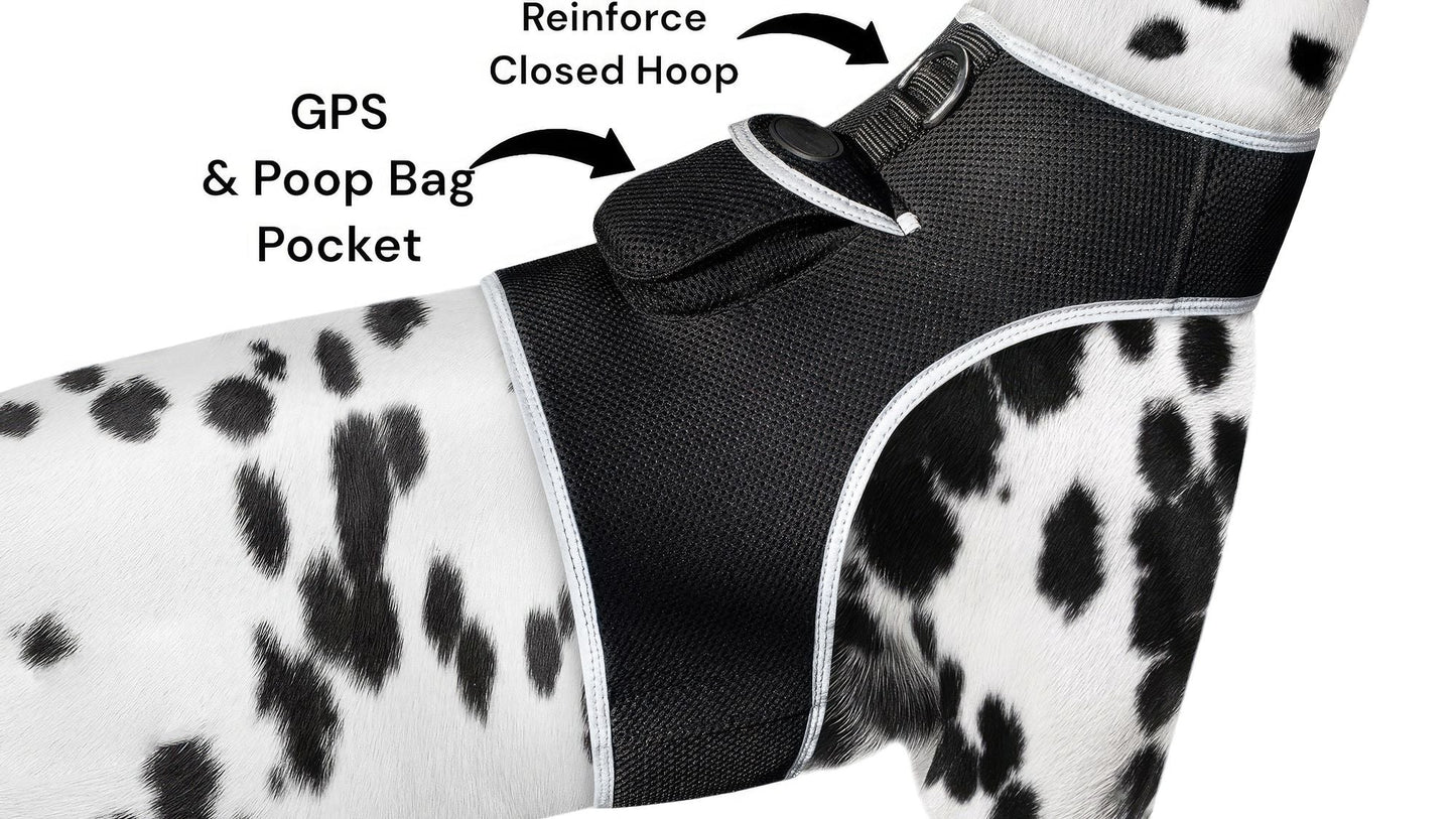 Waterproof GPS Tracker Dog Cat Rechargeable Locator with Battery Alert Size:L