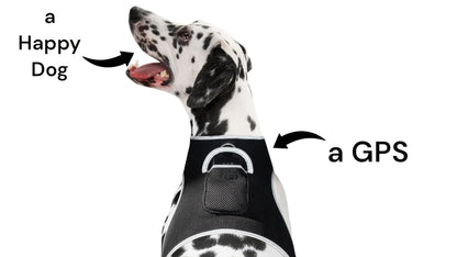 Consistent Realtime Mini Cat Dog GPS Tracking Collar Waterproof Device Size:L