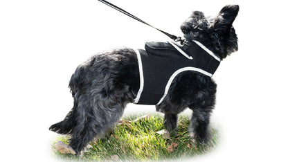 Consistent Realtime Mini Cat Dog GPS Tracking Collar Waterproof Device Size:L