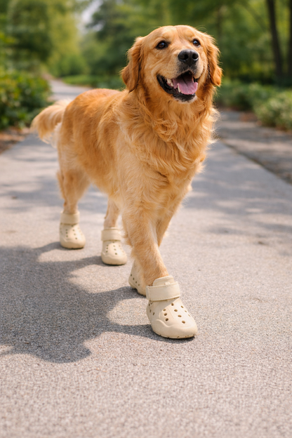 Indoor Dog Boots & Dog Shoes — Non-Slip Paw Protection (4-Pack)