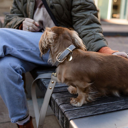 Leash 4ft - Vegan Leather - London