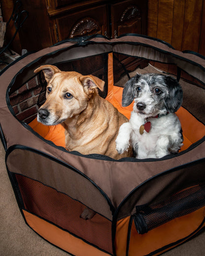 Pet Life ® 'All-Terrain' Lightweight Easy Folding Wire-Framed Collapsible Travel Pet Dog Playpen crate